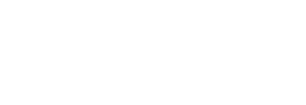 e-Ginga - Ansião